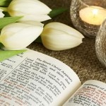 Bible opened on story about resurrection of Jesus and bunch of tulips.